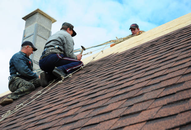 Best Emergency Roof Repair  in Nett, MO